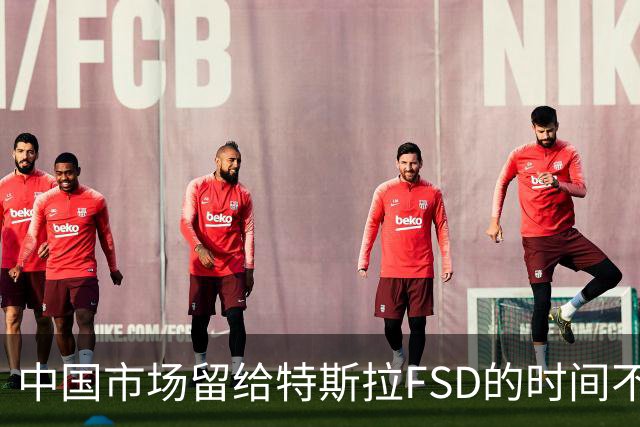 中国市场留给特斯拉FSD的时间不多了？