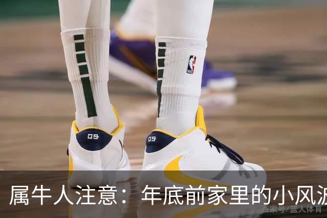 属牛人注意：年底前家里的小风波，其实是亲家关系升温的好兆头