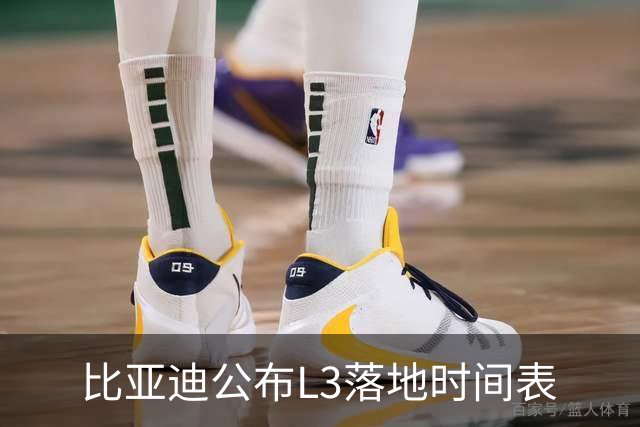 比亚迪公布L3落地时间表